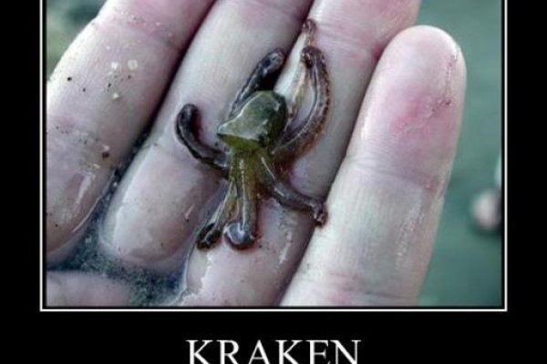 Как зарегистрироваться в kraken