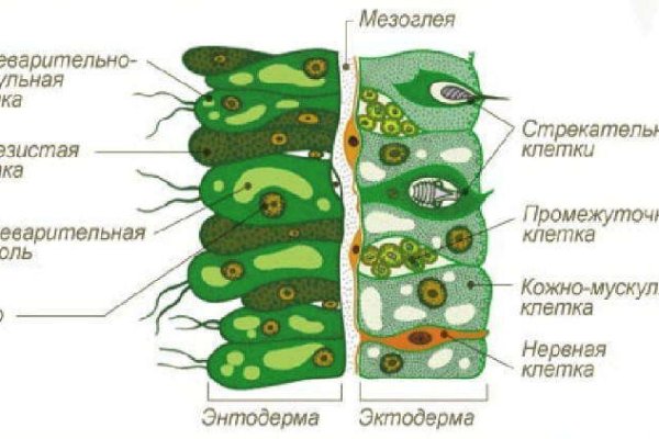 Ссылки зеркала на kraken