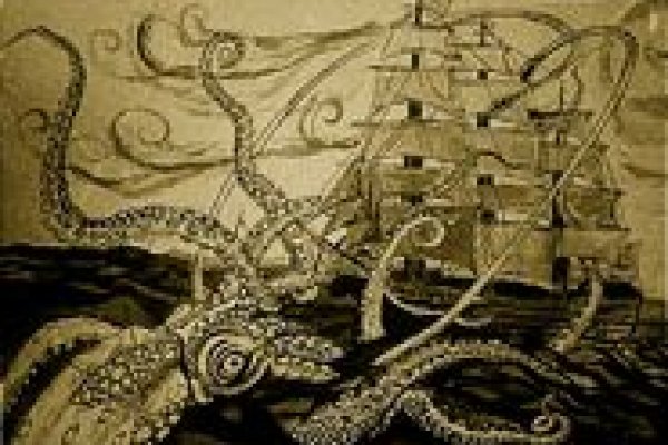 Kraken 17 at