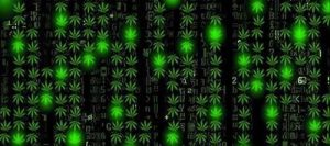 Как найти настоящую кракен даркнет ссылку